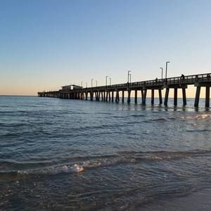 Meet your Posher, Darla